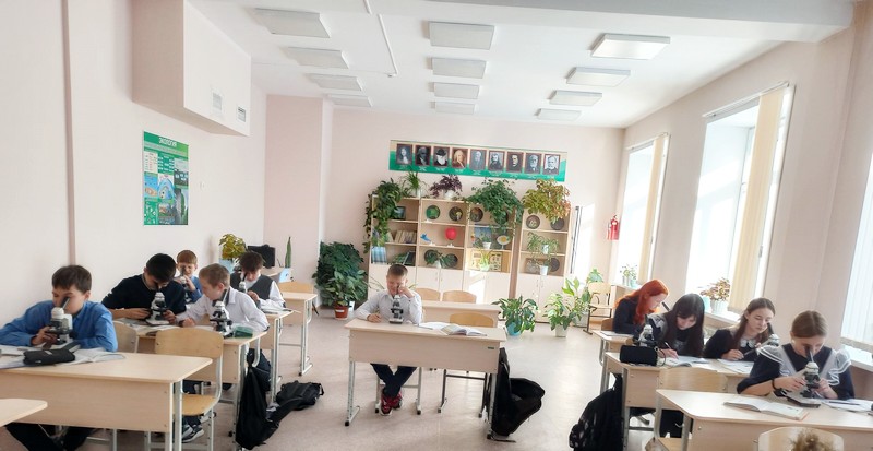 Урок биологии. 5 класс..